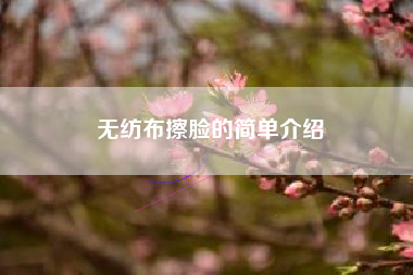 無(wú)紡布擦臉的簡(jiǎn)單介紹