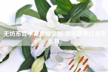 無(wú)紡布喜字花球組裝圖(婚房喜字燈籠怎么拼)