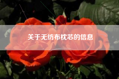 關(guān)于無(wú)紡布枕芯的信息